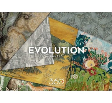 MURALES 360º EVOLUTION